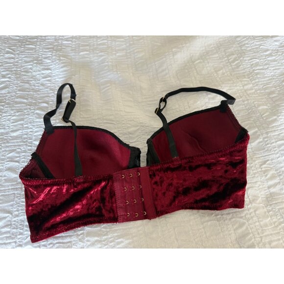 Fredericks Of Hollywood X Megan Fox Velvet Lace Bra 36B Burnout Whimsigoth fairy - Picture 5 of 8
